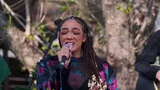 Bairi - Spring Cleaning & Para&iacute;so | Treehouse Sessions