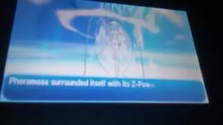 All out pummeling. POKEMON SUN