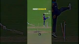 THE BEST FILEDING 👿🥵🥶💥 #srayasiyer#cricket #cricketshorts#jadeja #cricketv#msd#viratkohli #trending