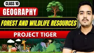 Project Tiger | Forest and Wildlife Resources | Class 10 Geography