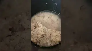 Cinnamon Rice in Sage Fast Slow Pro Cooker