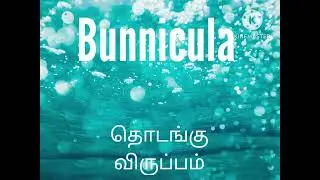 Bunnicula (Tamil SNES bootleg) Continue and Game over