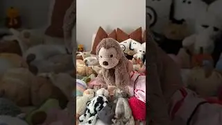 ✨ My Top 10 Jellycats ✨ #jellycat #jellycatcollection #aesthetic #girl #fyp #viral #viralvideo