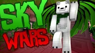 Making Friends In Hypixel Skywars