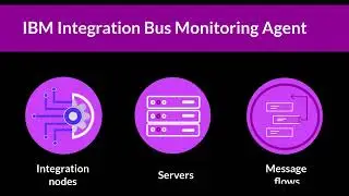 IBM® Integration Bus Monitoring Agent feature overview