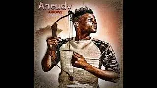 Aneudy - Arrows (Lyric Video)