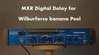 MXR Digital Delay for Wilburforce Banana Peel