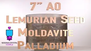 Lemurian Seed Moldavite Palladium | Crystal Singing Bowl