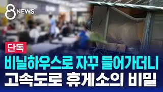[단독] 비닐하우스로 자꾸 들어가더니…고속도로 휴게소의 비밀 / SBS 8뉴스