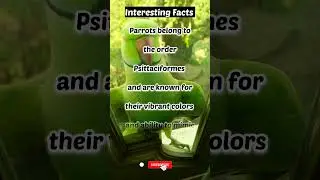 Parrots Belong to the Order Psittaciformes and: An Exploration #youtubeshorts #shortvideo #shorts