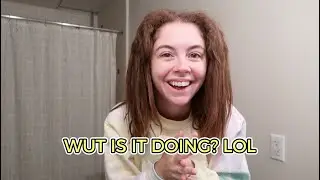 4 Month Hair Check-In ✂️ Curly Hair Journey from Chemically Straightened Hair!