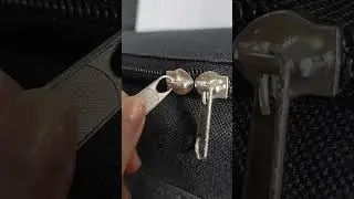 Funda para Pedalera Nexus, Ecco music by Zpercuzzion