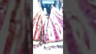 MULTI KALI DOUBLE DUPTTA LEHENGA IN SHOPPING WORLD #Explore #Shorts #Viral