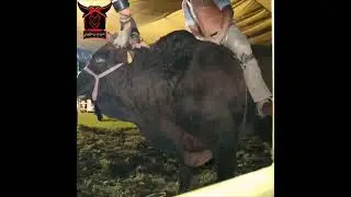 2 de noviembre de 2024
