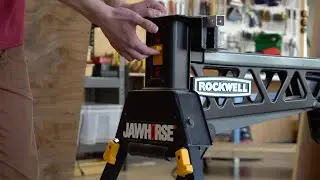 Jaw Horse Training