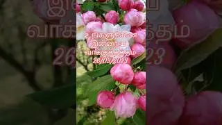 TODAY'S PROMISE/BIBLE VERSE IN TAMIL/JEHOVAH JIREH TAMIL GOSPEL CHANNEL