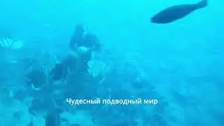 ФИЛИППИНЫ ПОГРУЖЕНИЕ НА СУБМАРИНЕ