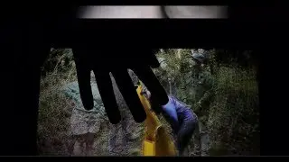 Only A Visitor - Visiting Light