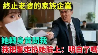 終止老婆的家族企業，她轉身質問我，我把鑒定扔她臉上：明白了嗎【清風與你】#激情故事#大彬情感#夢雅故事#小說#爽文