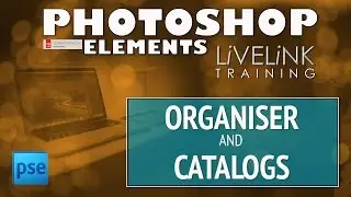 The Organiser and Catalogs