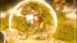 The witcher