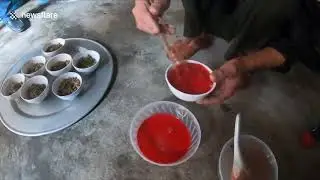 Traditional Vietnamese dish is made with fresh animal blood