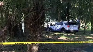 Body found at Savannah's Daffin Park