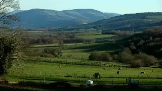 Baleira (O C&aacute;davo)