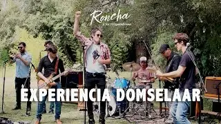 RONCHA Y LOS ROMPECABEZAS - EXPERIENCIA DOMSELAAR