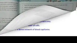 CLASS: VII: OXFORD SECONDARY SCIENCE-2 BY TERRY JENNINGS TOPIC: DIGESTIVE SYSTEM (EXERCISE)