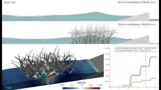 Wave Overtopping Comparison | FLOW-3D HYDRO