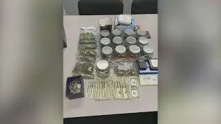 Fallen tree leads to drug bust in Kentucky