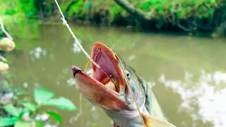 Amazing Unique hook fishing technique from river village boy hunting big fish by hook in river