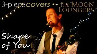 Shape of You - Ed Sheeran | Cover by Bristol wedding Band the Moon Loungers