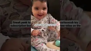 Curious Cub toy subscription box Level 4 - sneak peek!