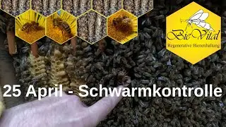 25 April - Schwarmkontrolle