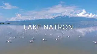 The Secret of Lake Natron (Tanzania): Flamingos&rsquo; Stunning Sanctuary | Nature's 4K Aerial View