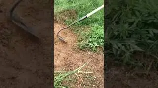 Weed removal tool very satisfy #shorts #tools #agriculture