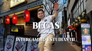 &iquest;C&oacute;mo Conseguir una Beca para Estudiar en Corea del Sur? Requisitos y Mi Experiencia
