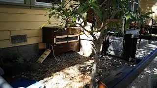 Easy and Cheap DIY Bunny Hutch from old junk dresser