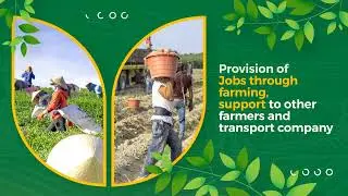 Integrating blockchain to Agriculture with Agro-Matic ($AMT)