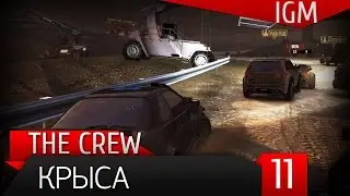 Поиграем в The Crew #10 - Крыса [60FPS]