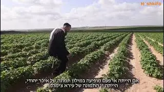 Saved by Shemittah - Rabbi Yoel Gold