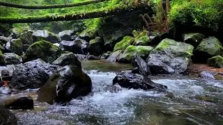 Gentle River Flow for Peaceful Focus