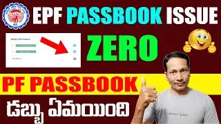 EPF Passbook not Reflect issue 2026 || EPF Amount Zero in my Passbook 2026