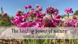 Lindengate, Buckinghamshire; the healing power of nature