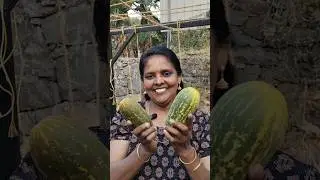 Some desires should not be kept for anything.. Throw them in the kitchen waste #gardening #harves...