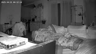 Paranormal# PARTIE1 #la7contact #medium #horror #voyance #infos #infos #audel&agrave; #paranormal #defunt 