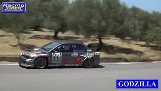 GODZILLA PETEFORMANCE TEAM. ANABASH PITITSAS 2017.