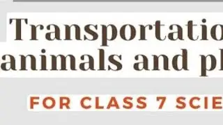 Class -7 chapter -11 transportation in animals and plants